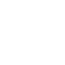 Airline Icon